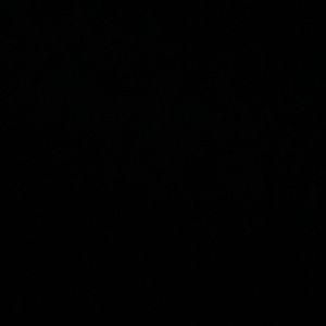 Meet your Posher Layla